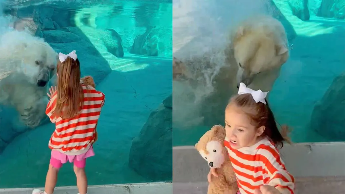 thumb_vk_IJsbeer_in_dierentuin_geeft_eerste_bezoekers_van_de_dag_een_heel_warm_welkom