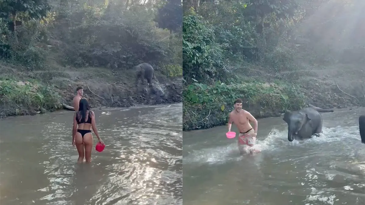 thumb_vk_Opeens_heb_je_het_je_wil_op_vakantie_spelen_met_olifantjes