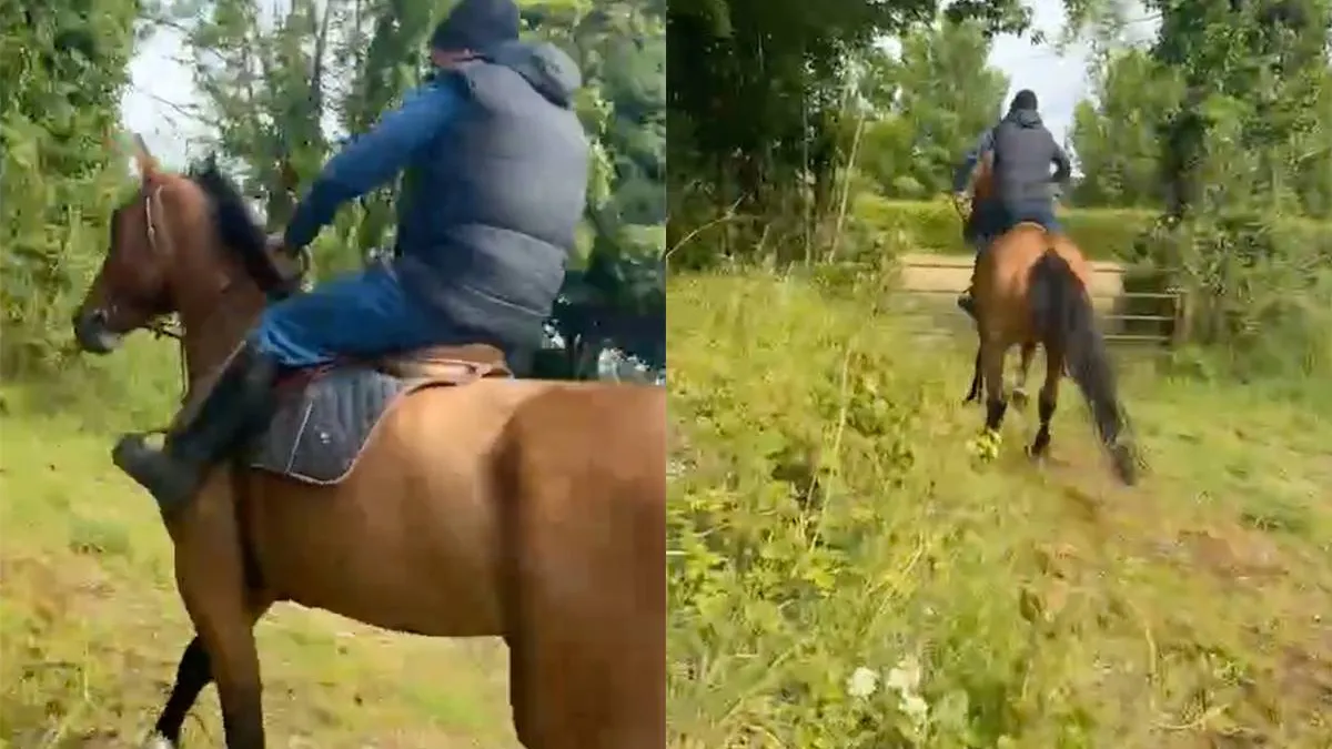 thumb_vk_Springen_blijkt_niet_de_kwaliteit_van_deze_frikandel_op_pootjes