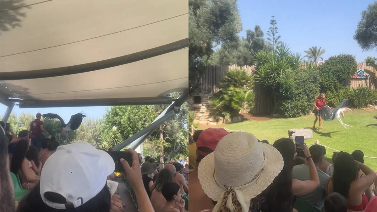 thumb_vk_Zo_he_dat_was_een_leuke_roofvogelshow_in_Portugal