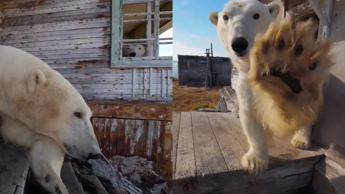 thumb_epic_beren_airbnb