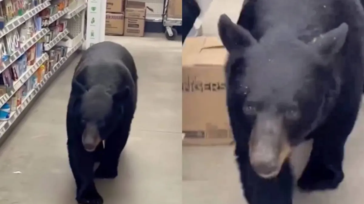 thumb_hoi_beer_supermarkt