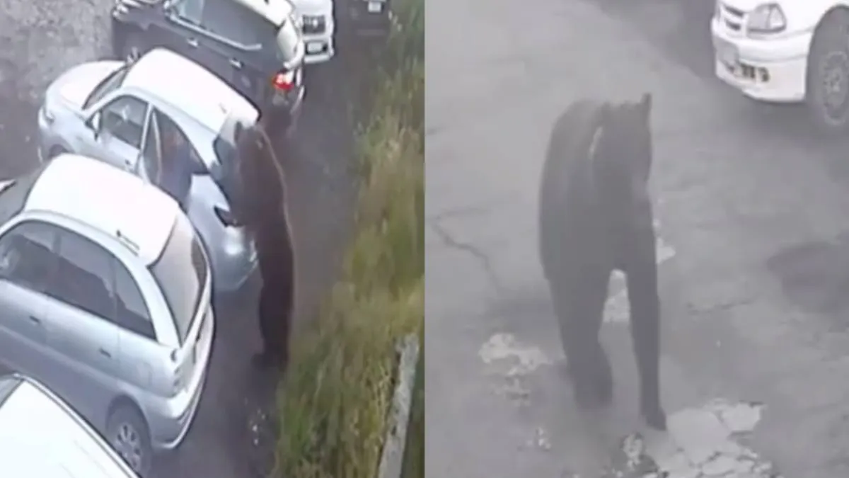 thumb_russieche_beer_boos