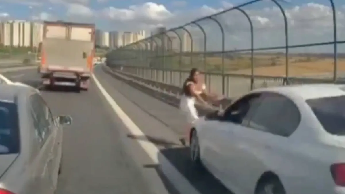 thumb_tukse_klapper_kitten