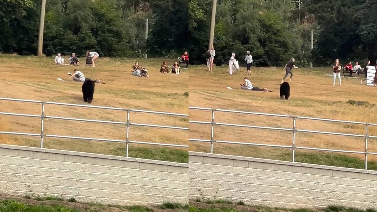 thumb_vk_Beer_in_Canada_maar_dit_stel_krijgt_hem_wel_heel_laat_in_de_gaten