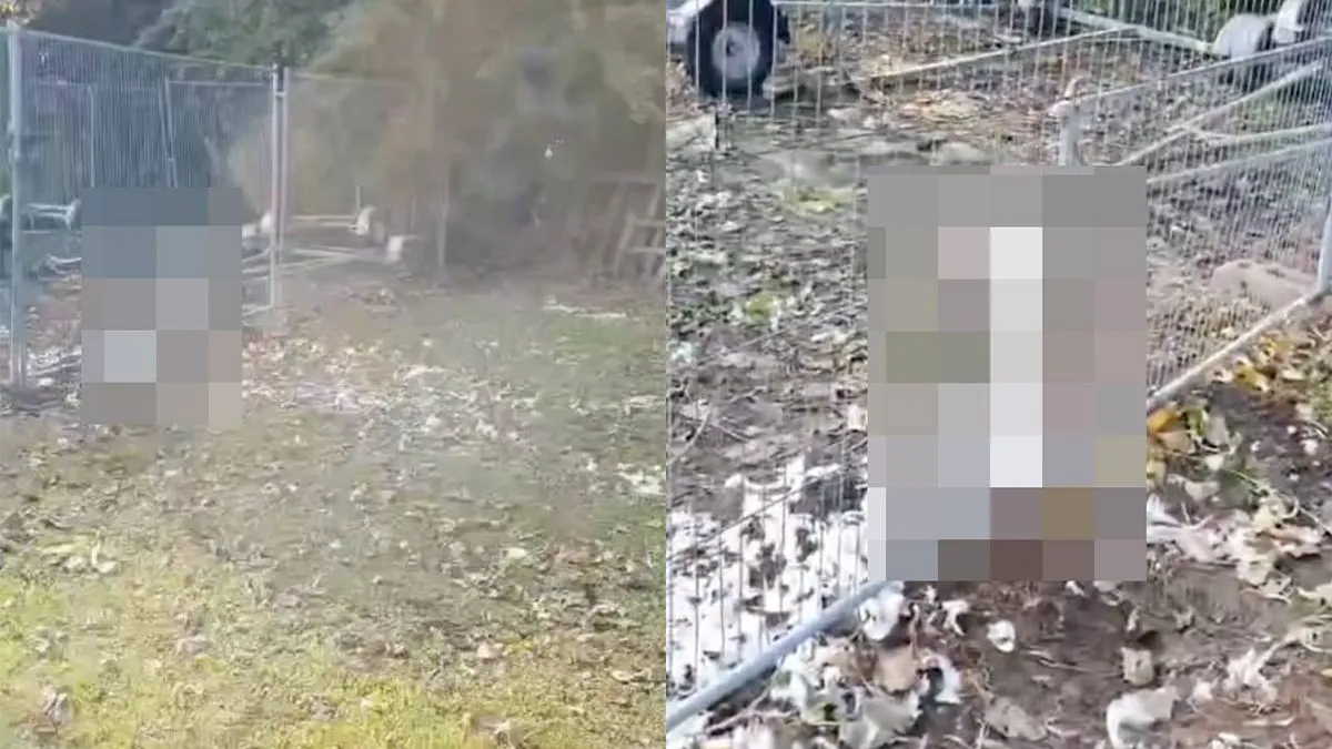 thumb_vk_Boer_in_Engeland_treft_alleen_het_hoofd_van_een_zwaan_wat_is_er_gebeurd