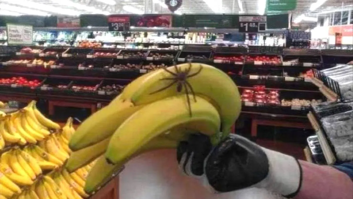 thumb_vk_gewoon_fotos_2124