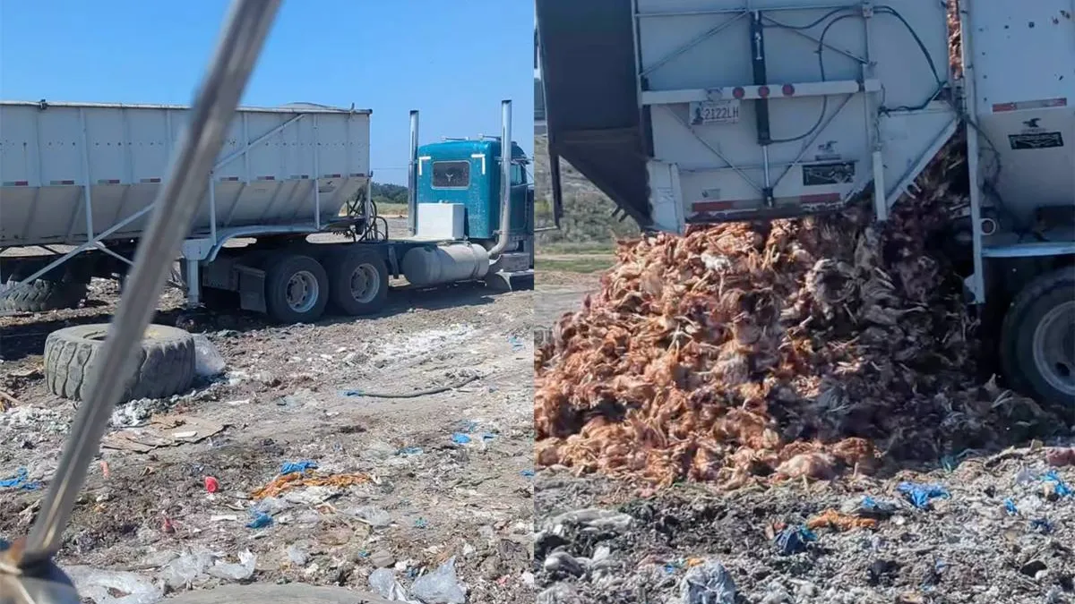 thumb_vk_Kiloknaller_mag_toch_blijven_leven