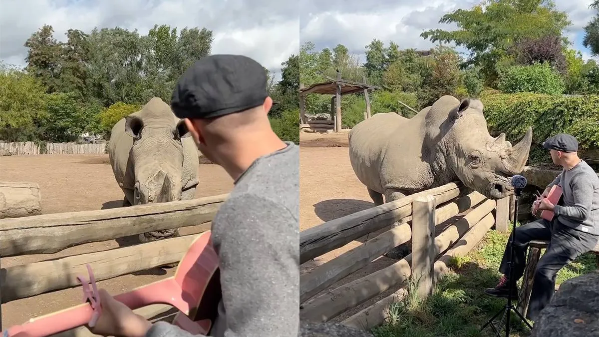 thumb_vk_Lief_Muzikant_speelt_voor_neushoorn