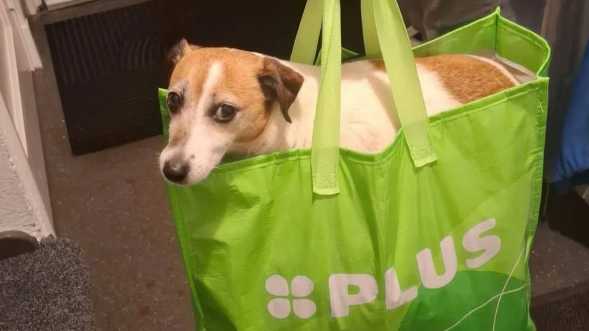 thumb_vk_pix_dump_2123