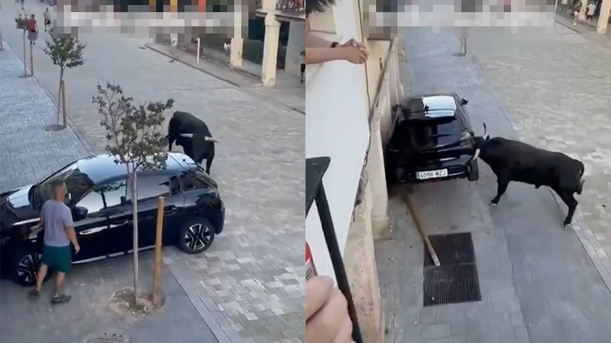 thumb_vk_Stier_in_Spaanse_encierro_tilt_auto_op_en_beukt_m_total_loss