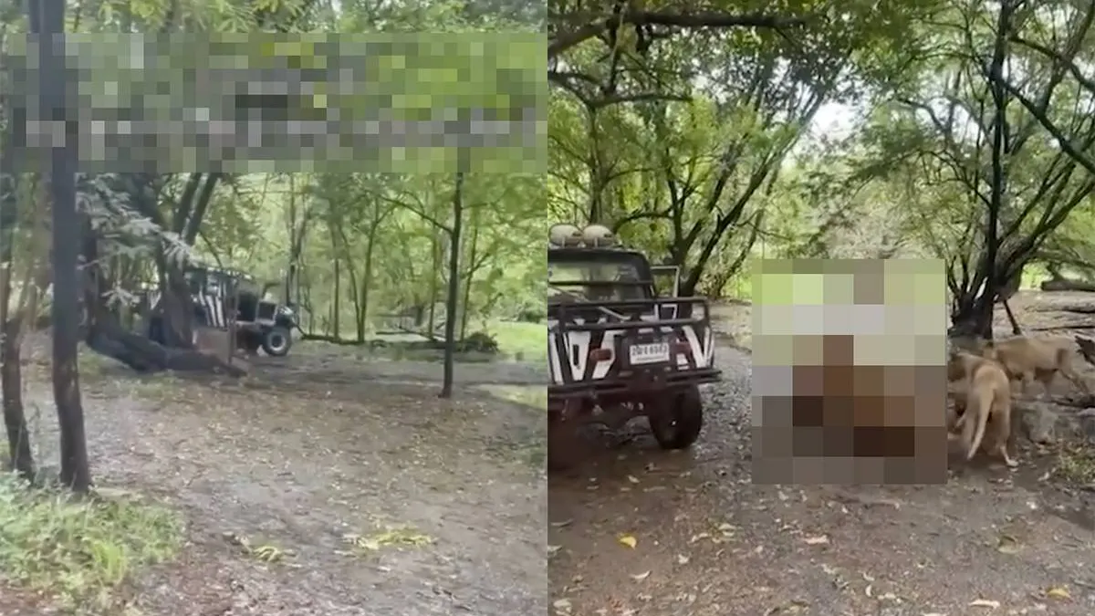 thumb_vk_WTF_Dierenverzorger_in_Bangkok_levend_verscheurd_door_leeuwen_voor_ogen_van_toeristen