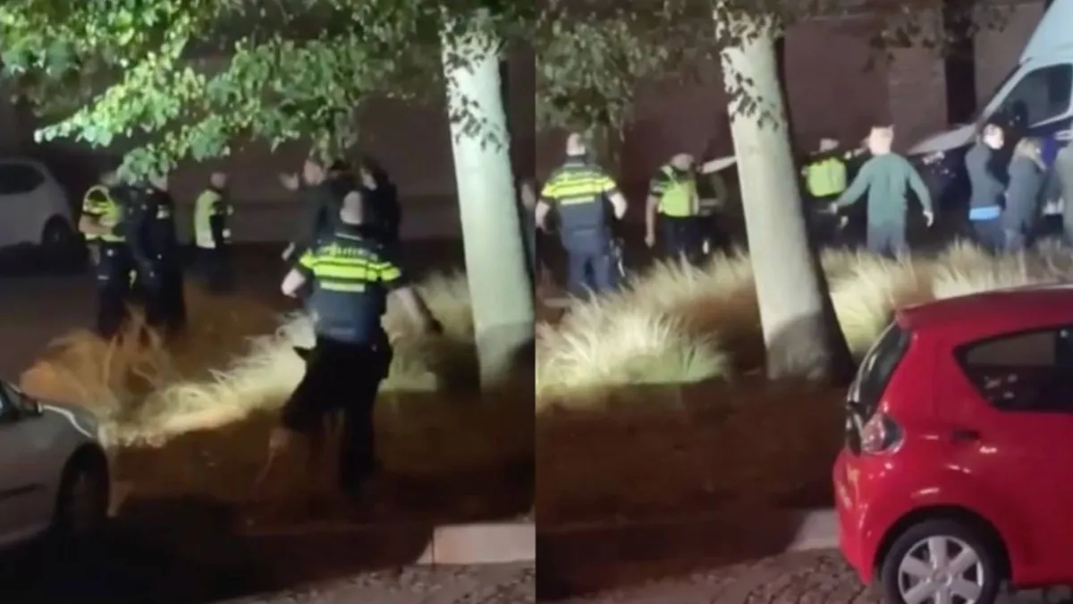 thumbnail_vk_gezellig_noordwijk