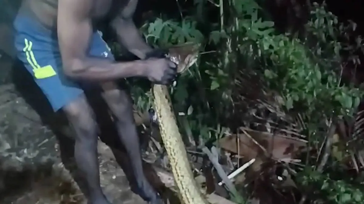 thumb_anaconda_hello