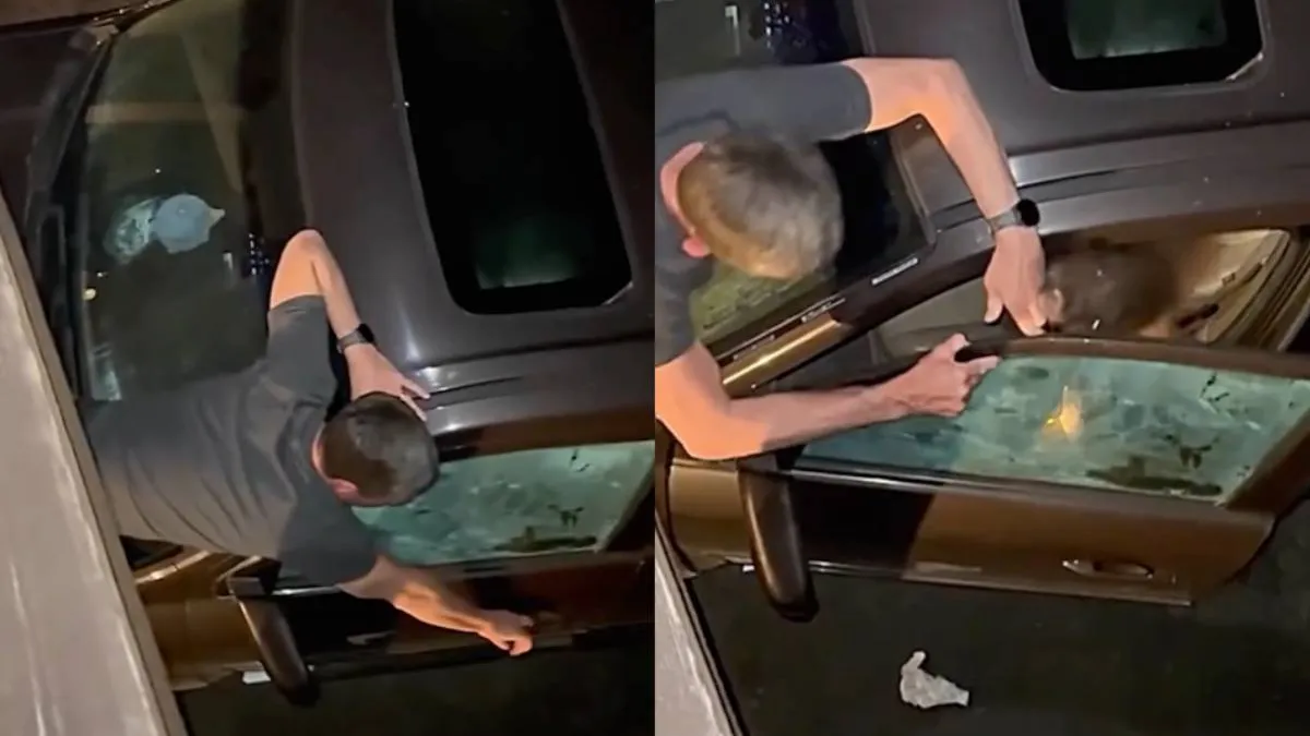 thumb_beer_in_de_waggie