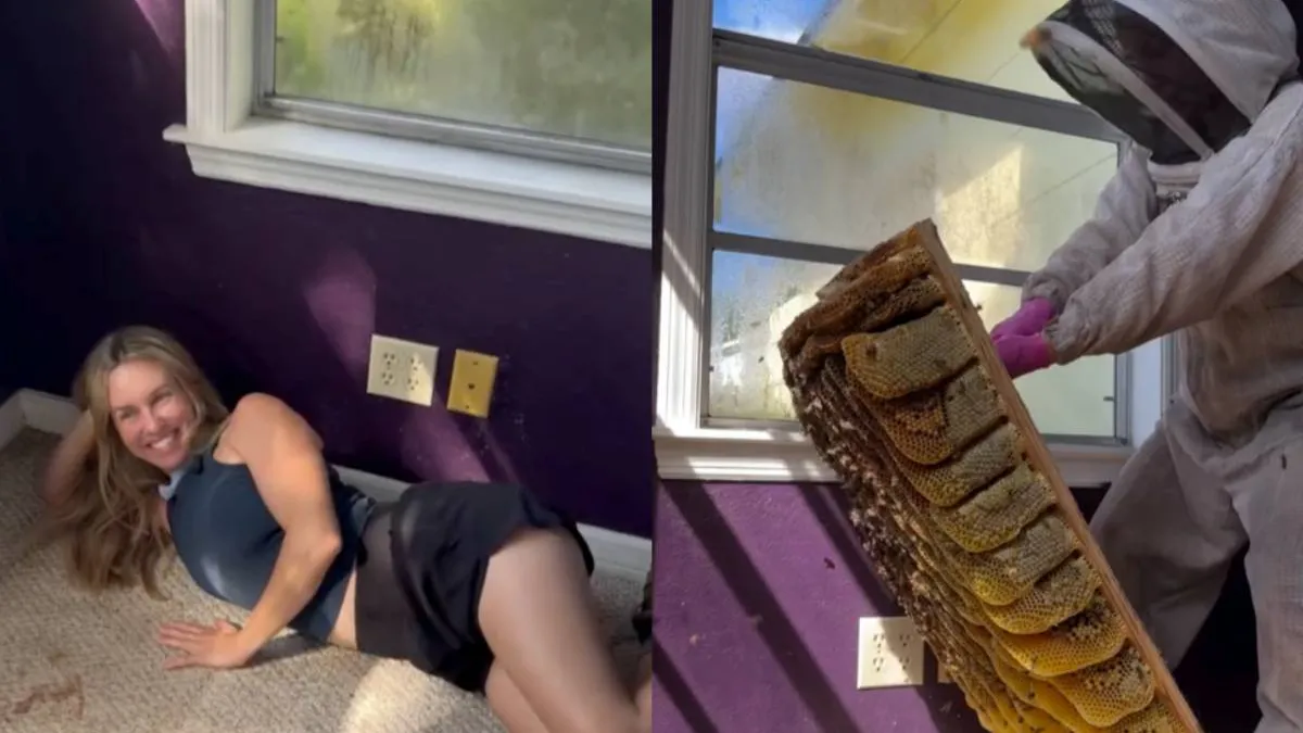 thumb_bijennestje_verwijderen