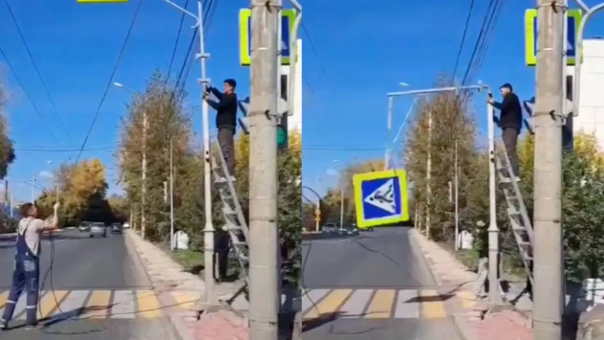 thumb_deze_zag_je_wel