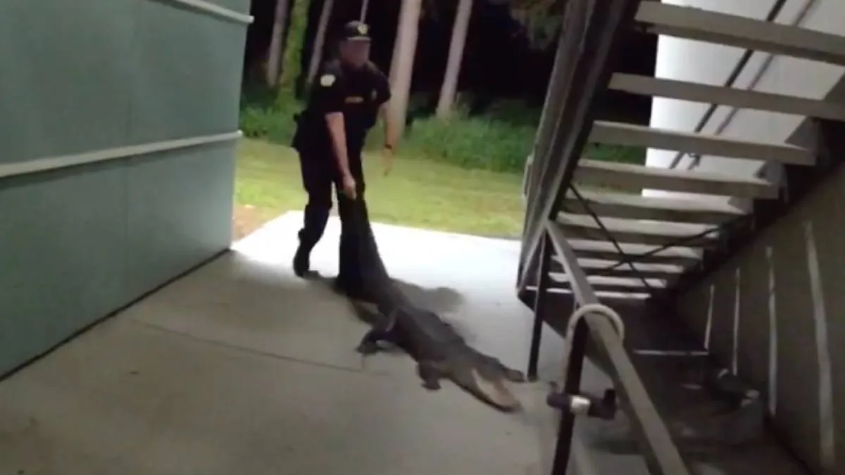 thumb_florida-dingen