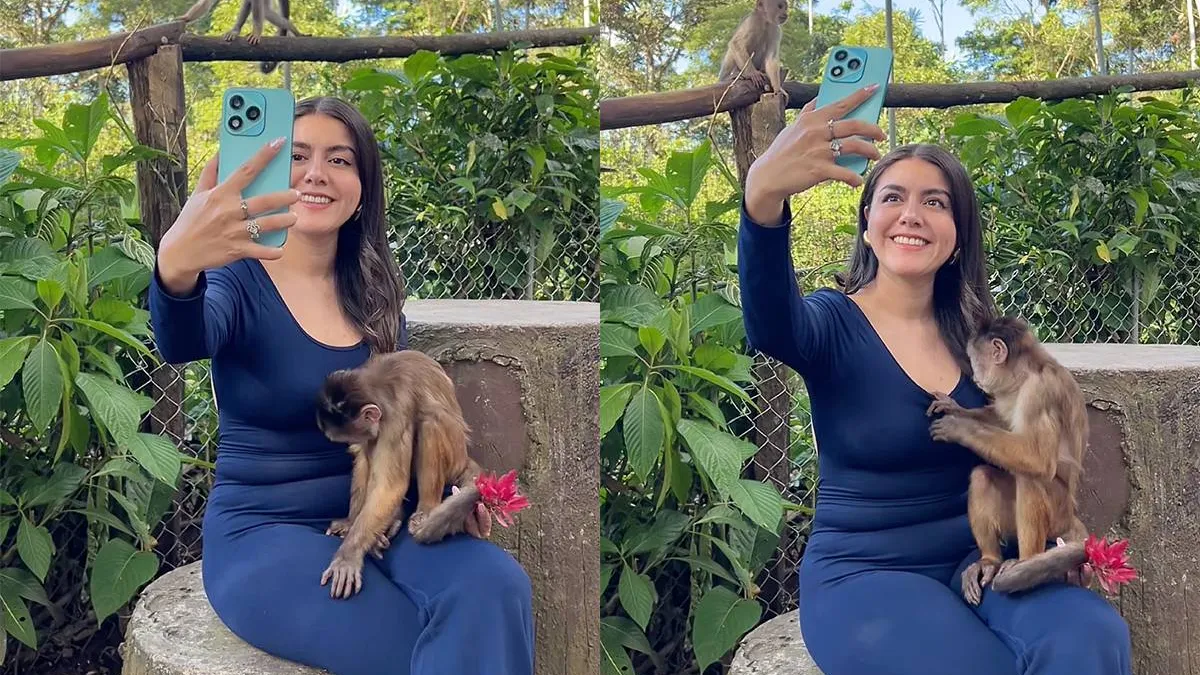 thumb_vk_Brutaal_aapje_gaat_op_onderzoek_uit_en_heeft_wat_gevonden