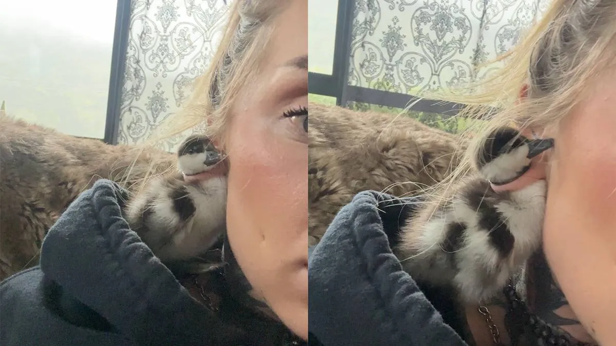 thumb_vk_De_honderd_euro_vraag_naar_de_dierenarts_of_de_Eerste_Hulp