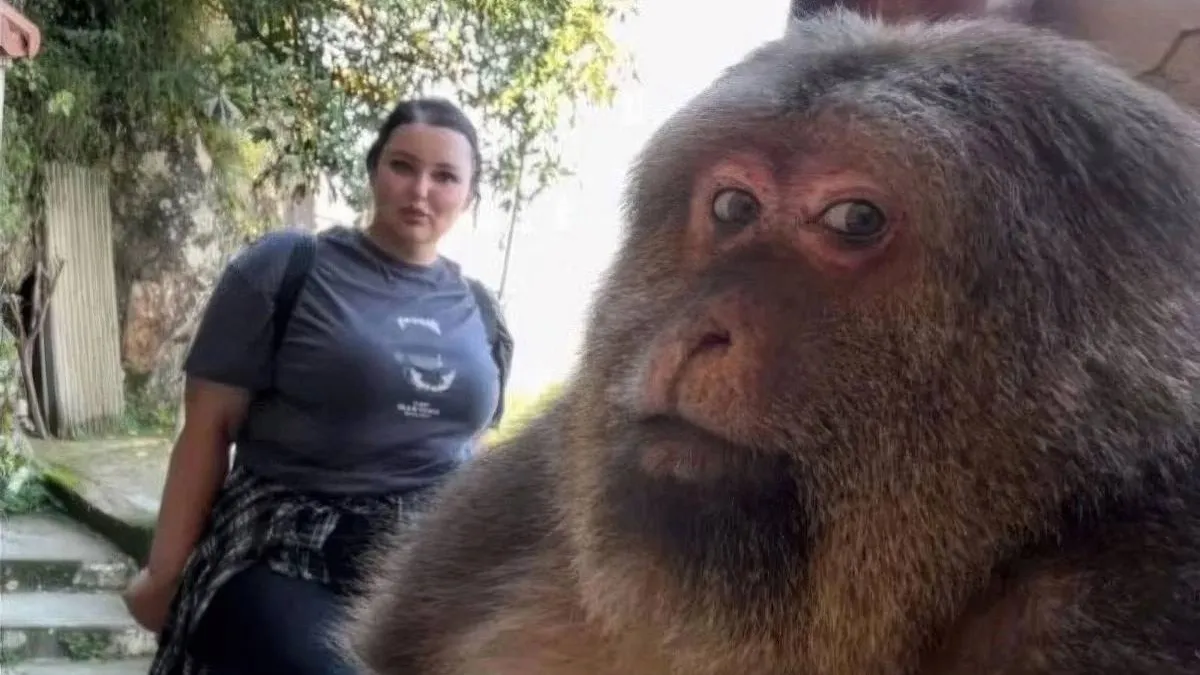 thumb_vk_gewoon_fotos_2128