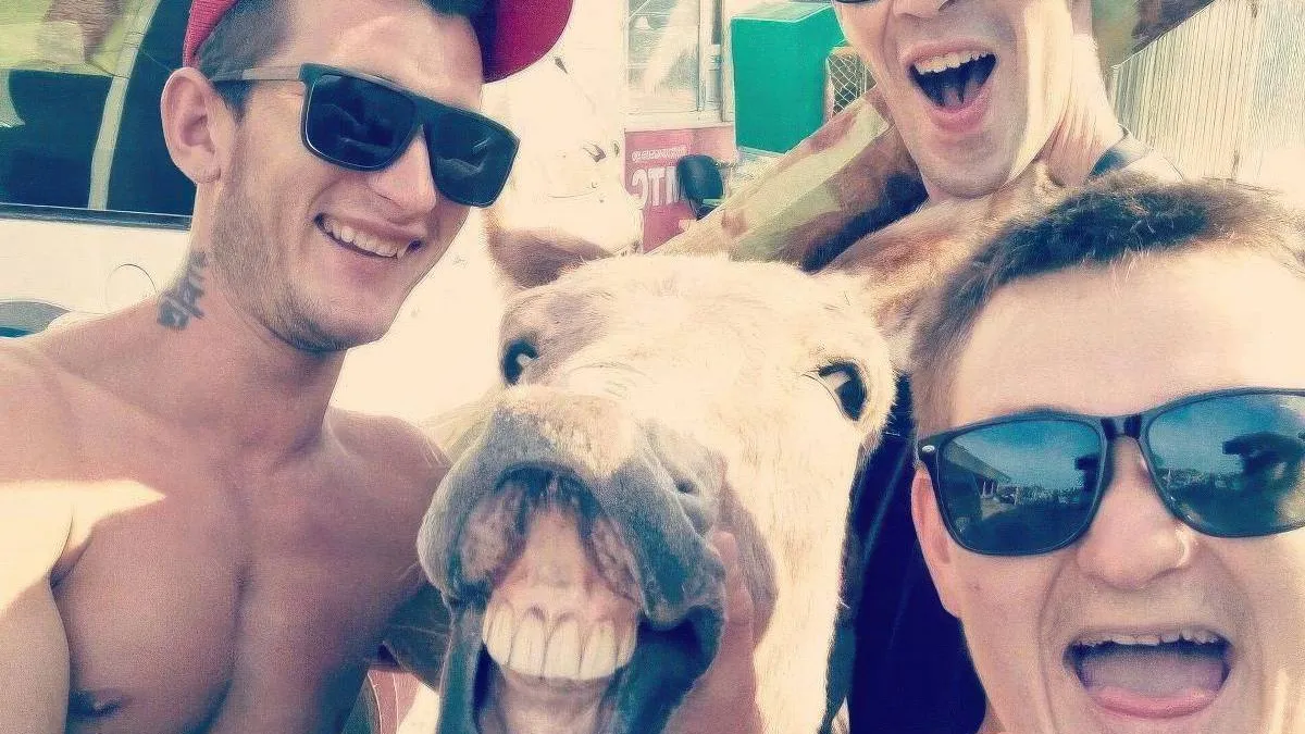 thumb_vk_gewoon_fotos_2133