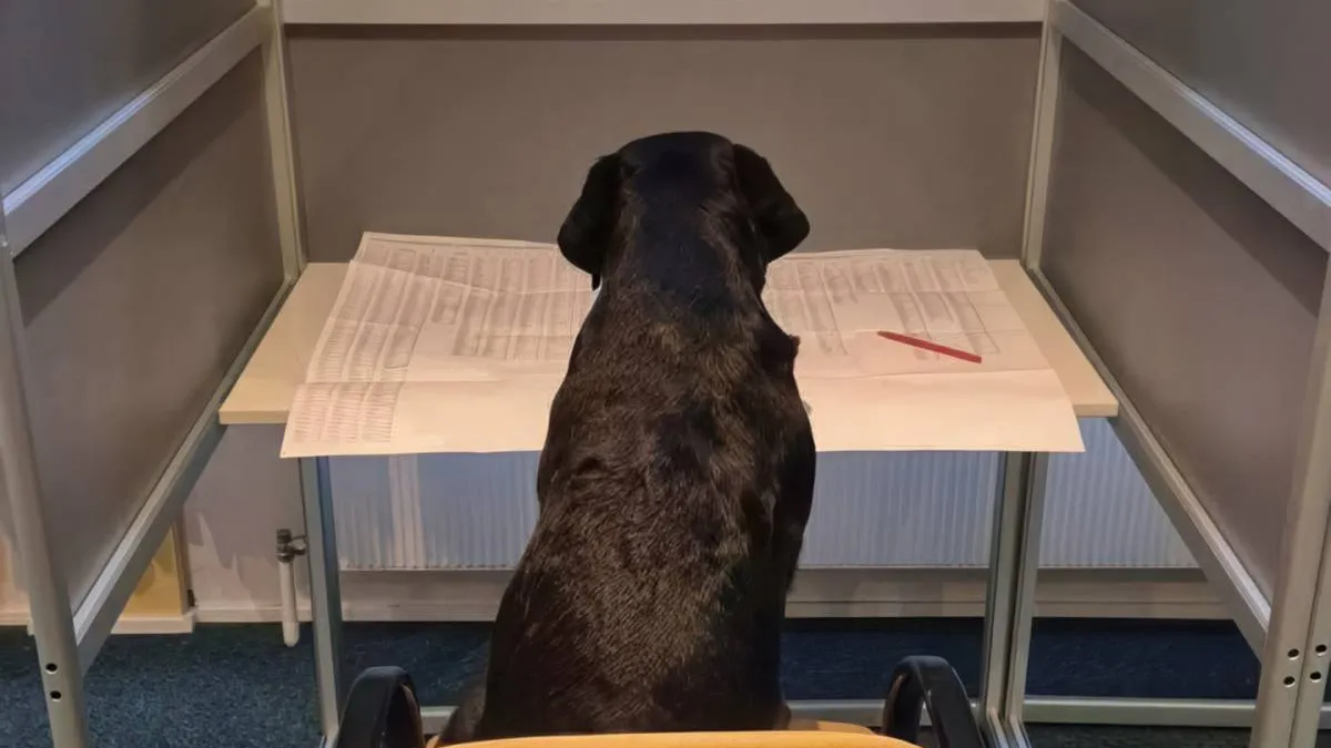 thumb_vk_gewoon_fotos_2139