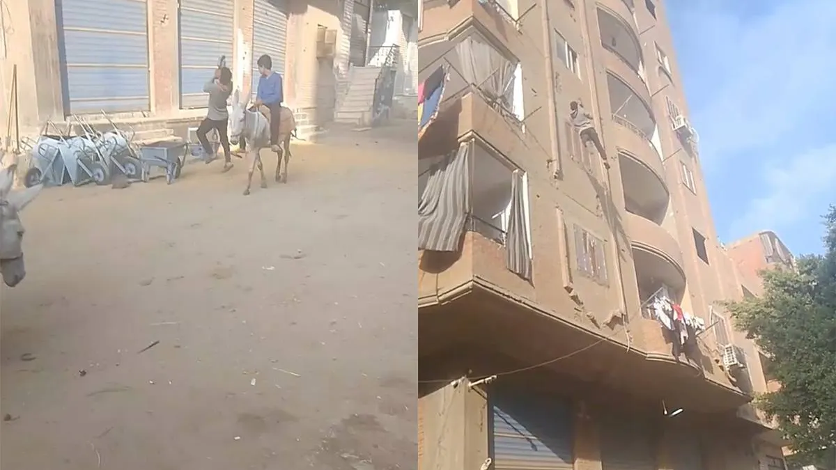 thumb_vk_Nee_joh_een_lift_is_zo_overrated_wij_laten_ons_naar_boven_tillen