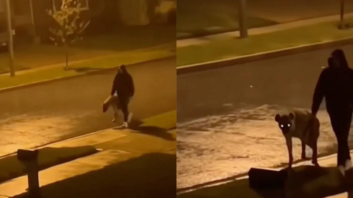 thumb_vk_Soms_moet_je_gewoon_even_hyena_uitlaten