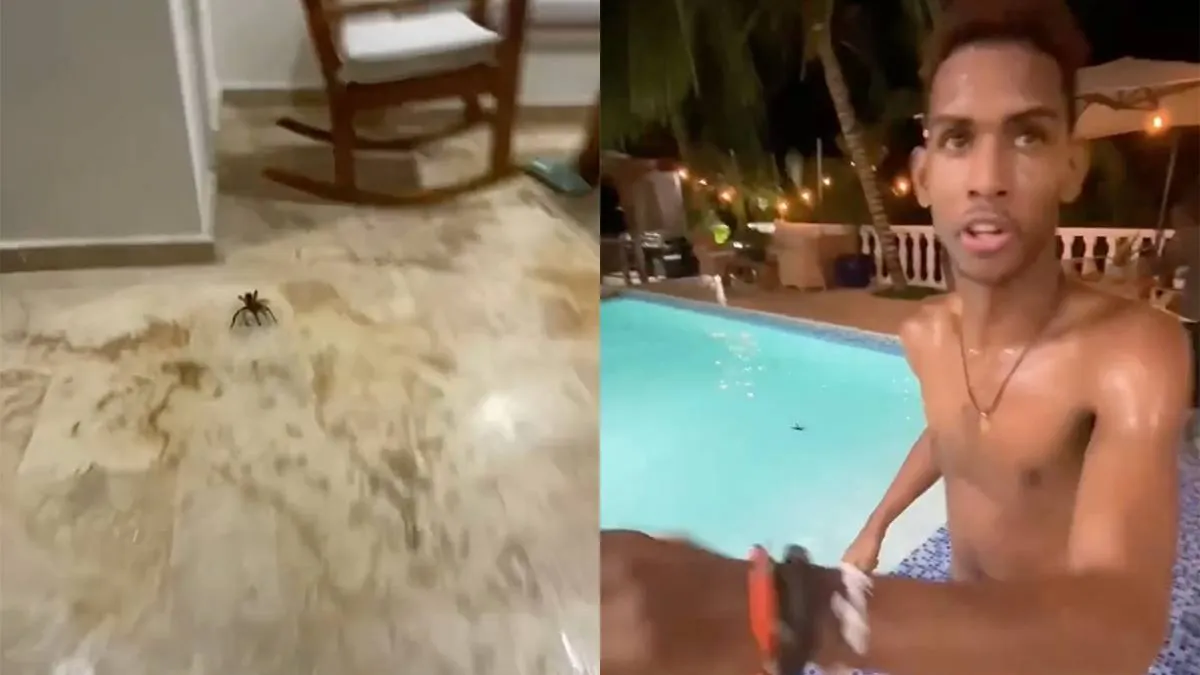 thumb_vk_Spin_doet_Jezus_na_en_loopt_over_water