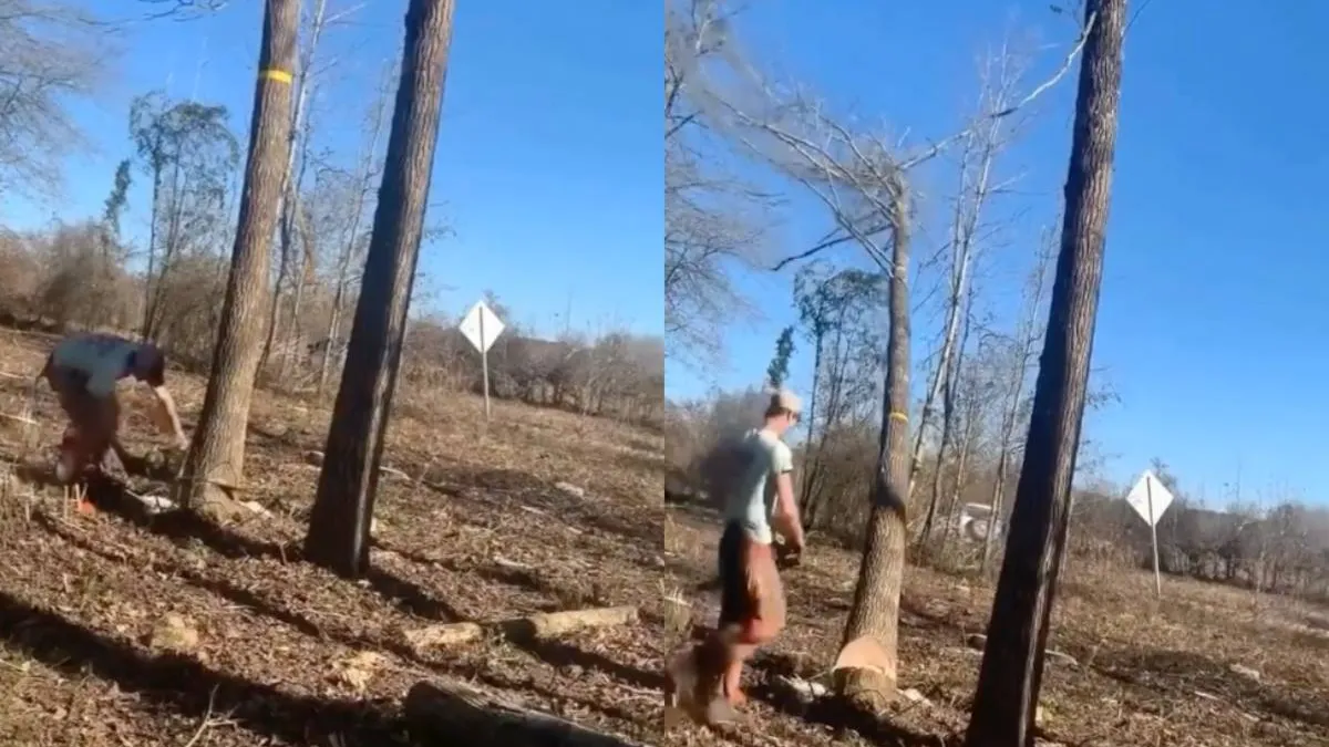 thumb._spanband_kioppen