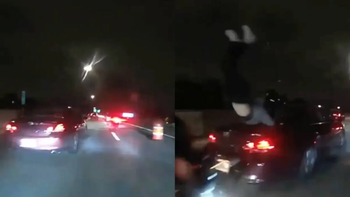 thumb_afsprong_motormuis