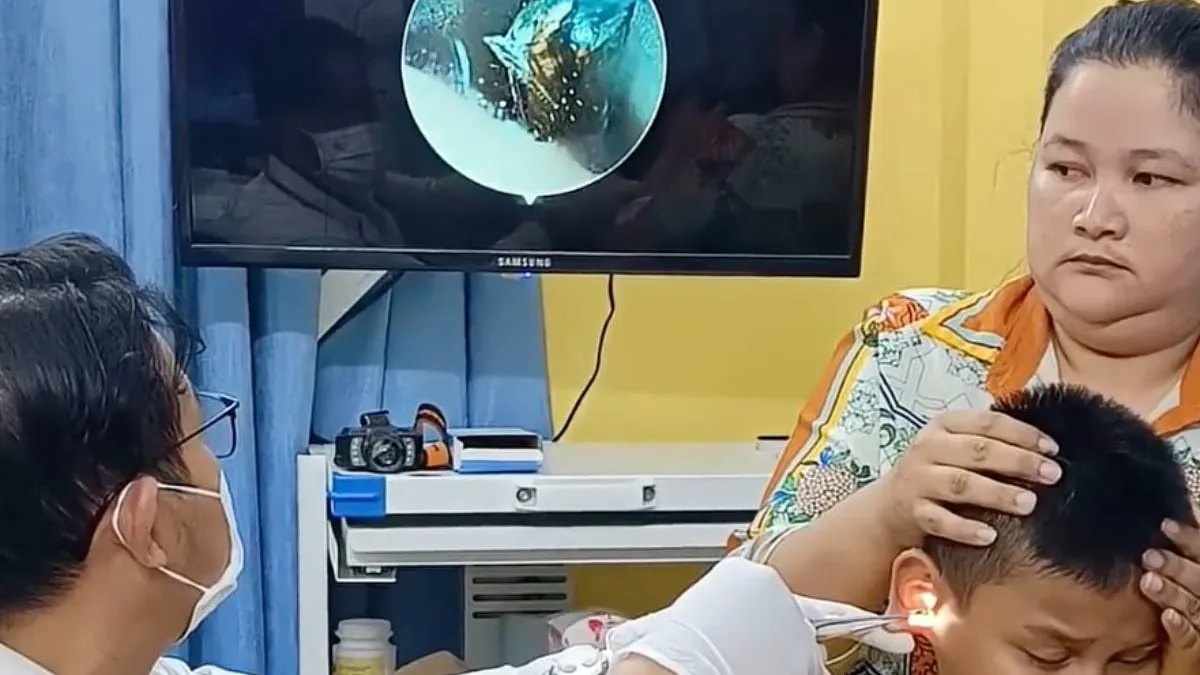 thumb_duitse_kakkerlak