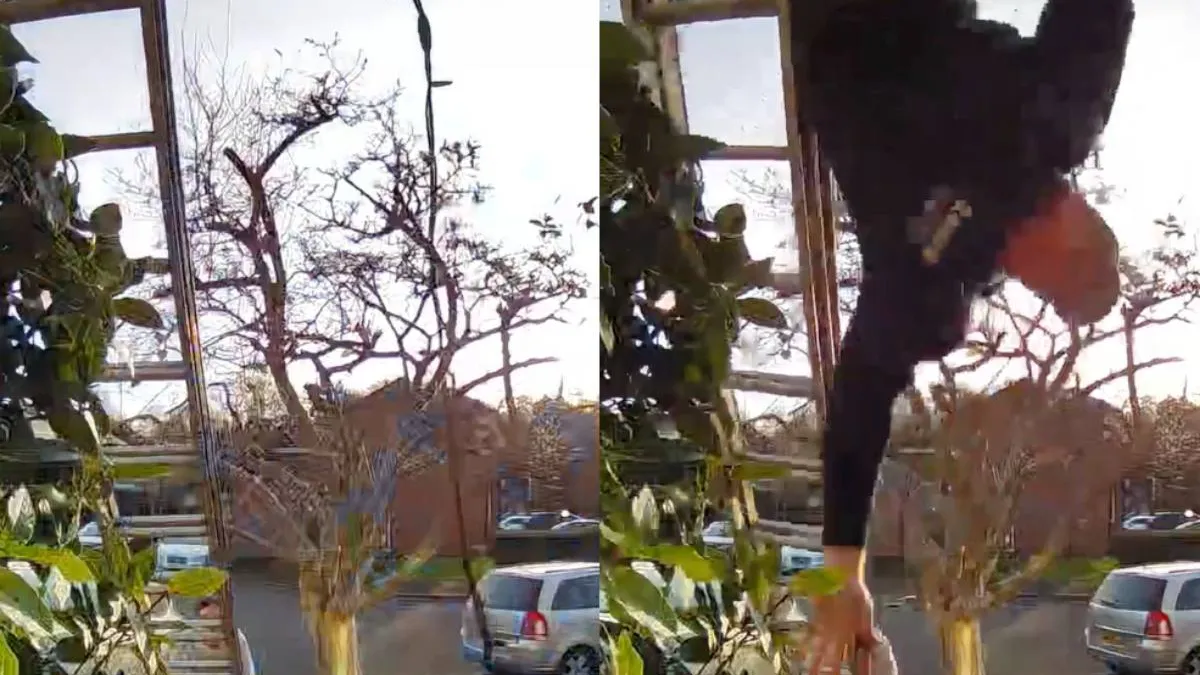 thumb_kersemus-ellende