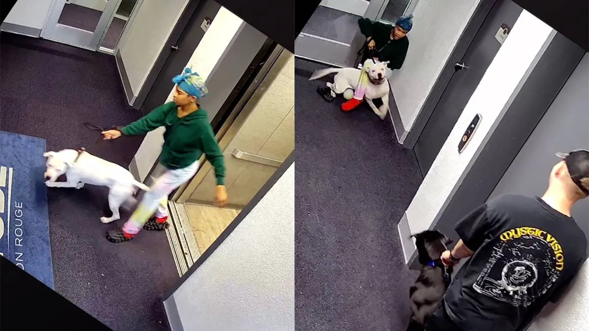 thumb_vk_Dat_wordt_nog_even_terug_naar_de_puppycursus