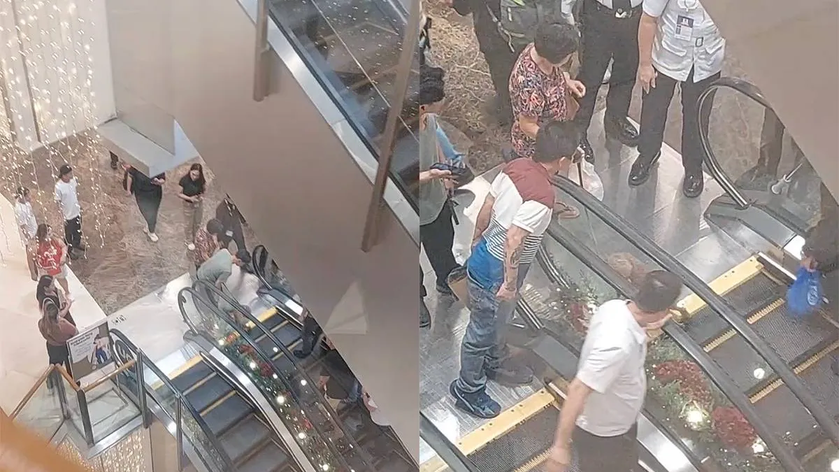 thumb_vk_Hond_op_de_roltrap_gaat_precies_zo_mis_als_je_vreest