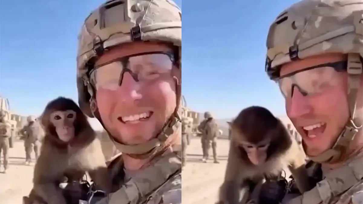 thumb_vk_Je_moet_twee_keer_kijken_maar_aapje_trekt_pin_uit_granaat_video_is_gemaakt_met_AI