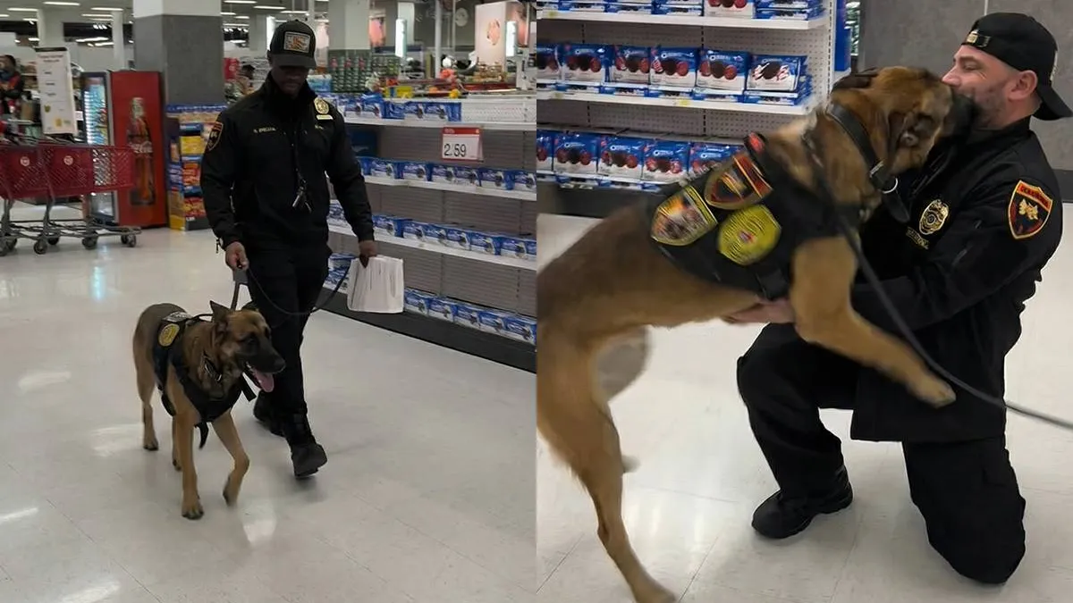 thumb_vk_K9_hond_herkent_zijn_eerste_hondenbegeleider