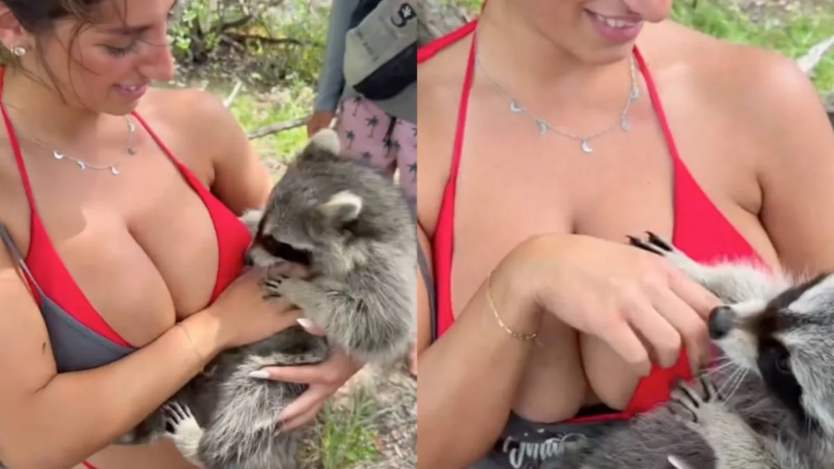 thumb_wasbeer_speels