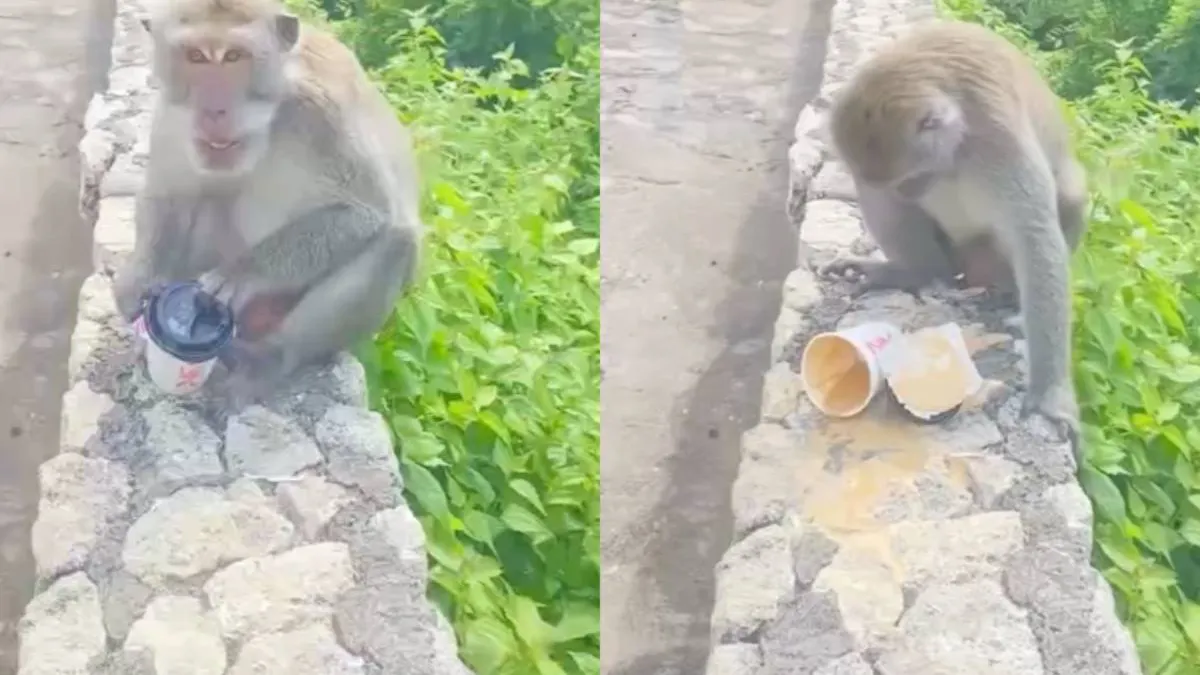 thumb_apennootjes_bali