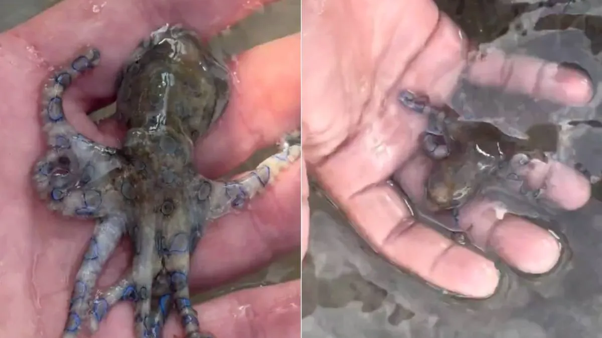 thumb_okkie_dodelijk