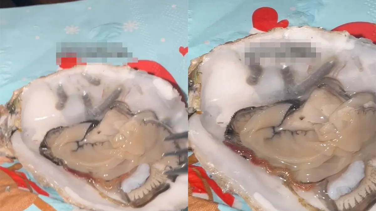 thumb_vk_Even_lekker_genieten_van_een_oester_tijdens_het_kerstdiner_en_dan_komt_dit_eruit_kruipen