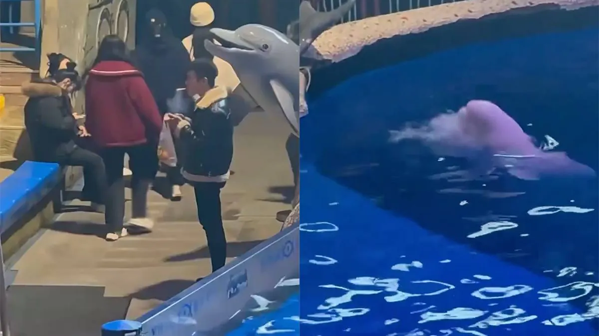 thumb_vk_In_dit_dierenpark_mag_je_dus_echt_niet_roken_zelfs_de_vissen_spelen_BOA