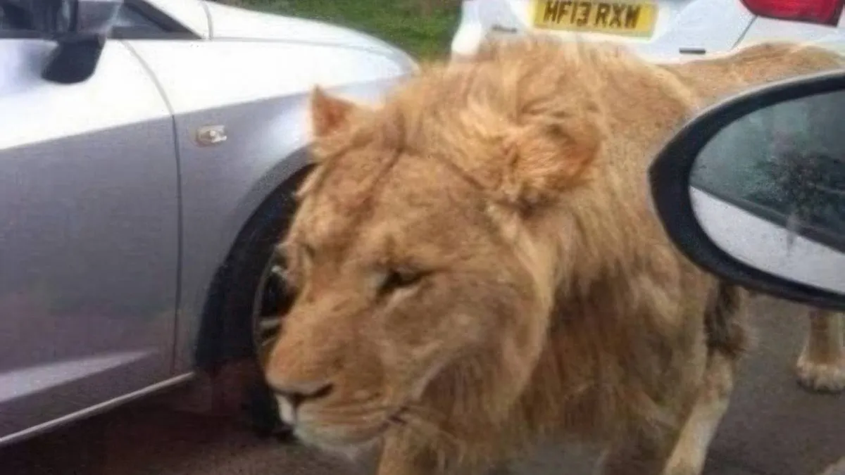 thumb_vk_pix_dump_2160