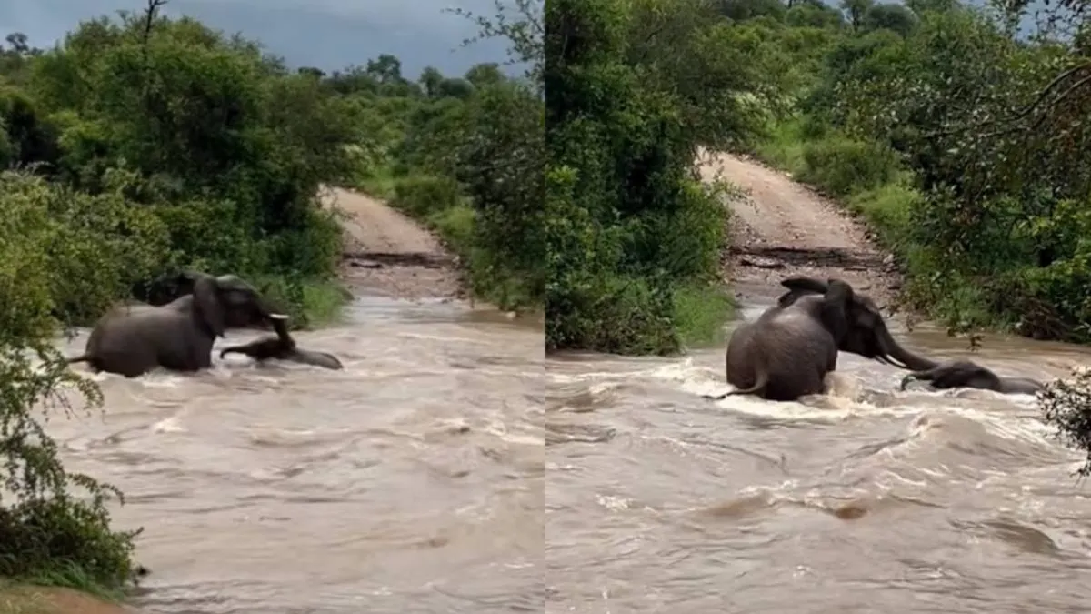 thumb_disney_momentje