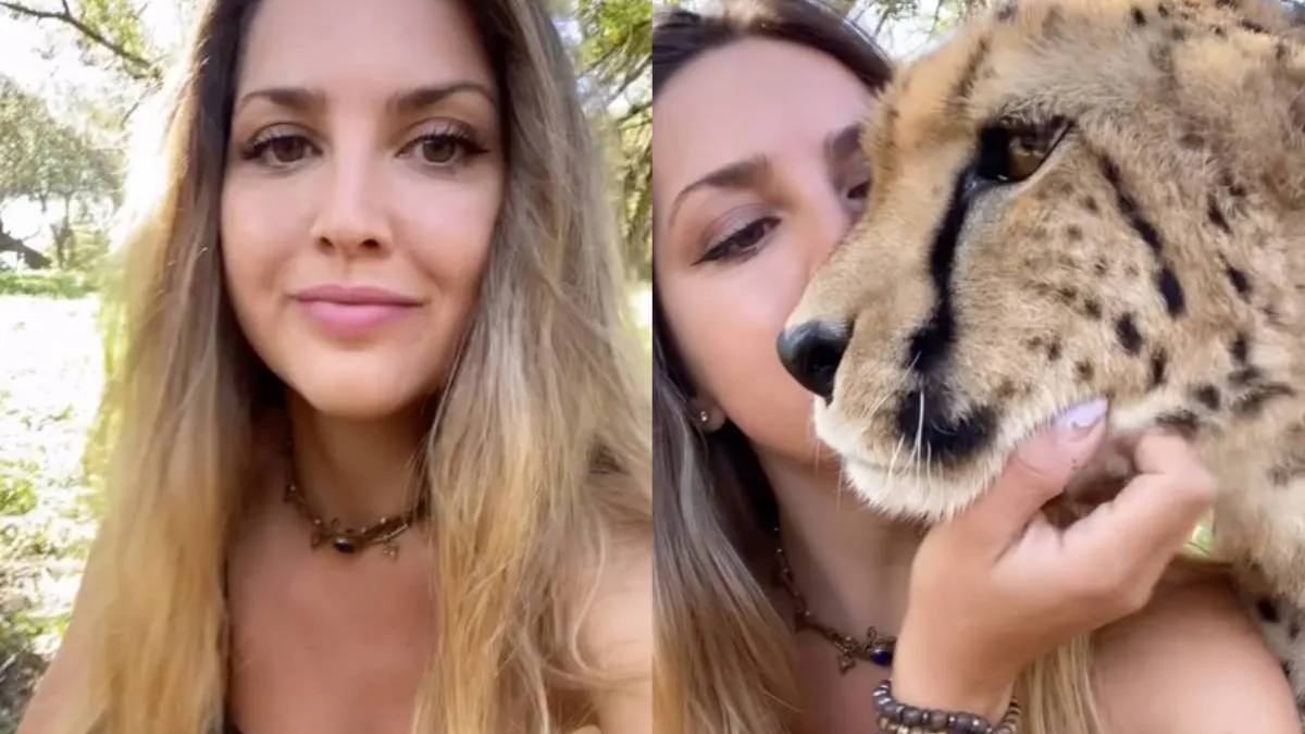 thumb_gezellig_cheeta