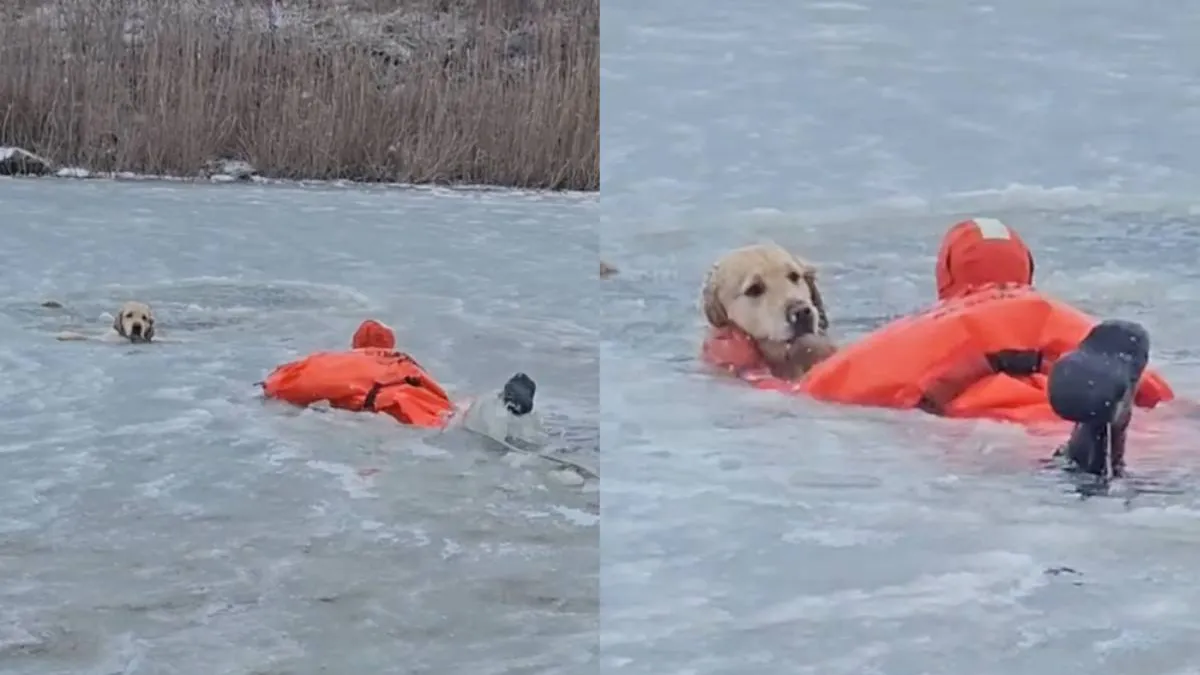 thumb_helden_zonder_cape