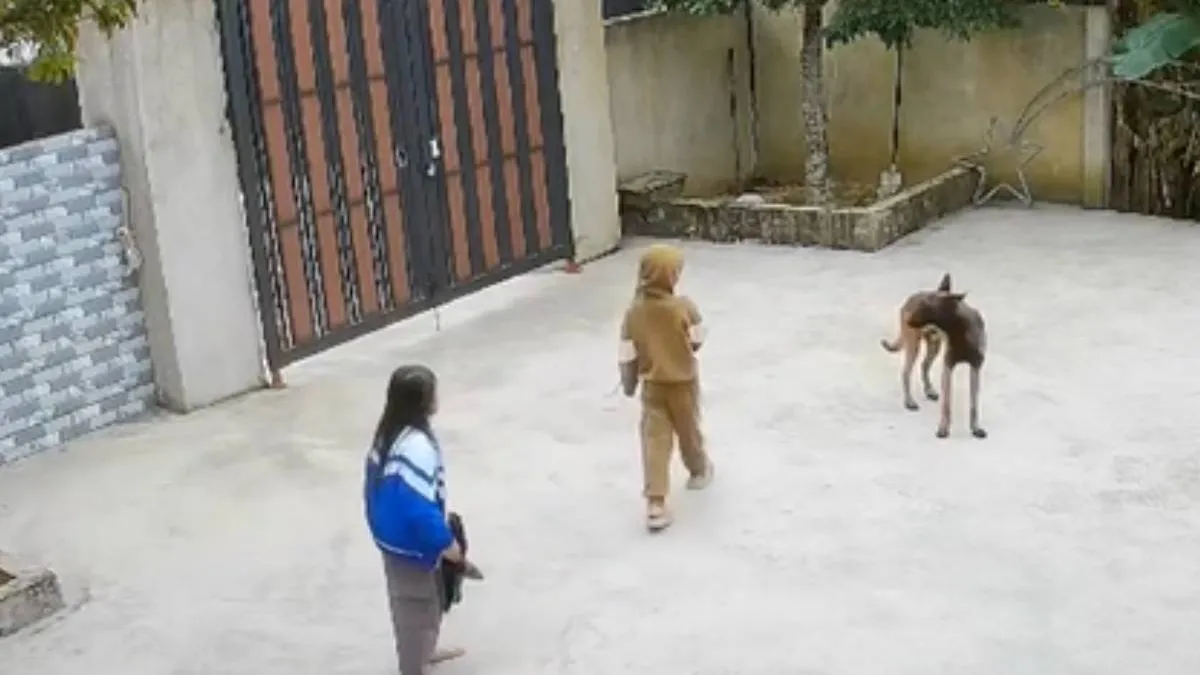 thumb_hond_leert_lesje