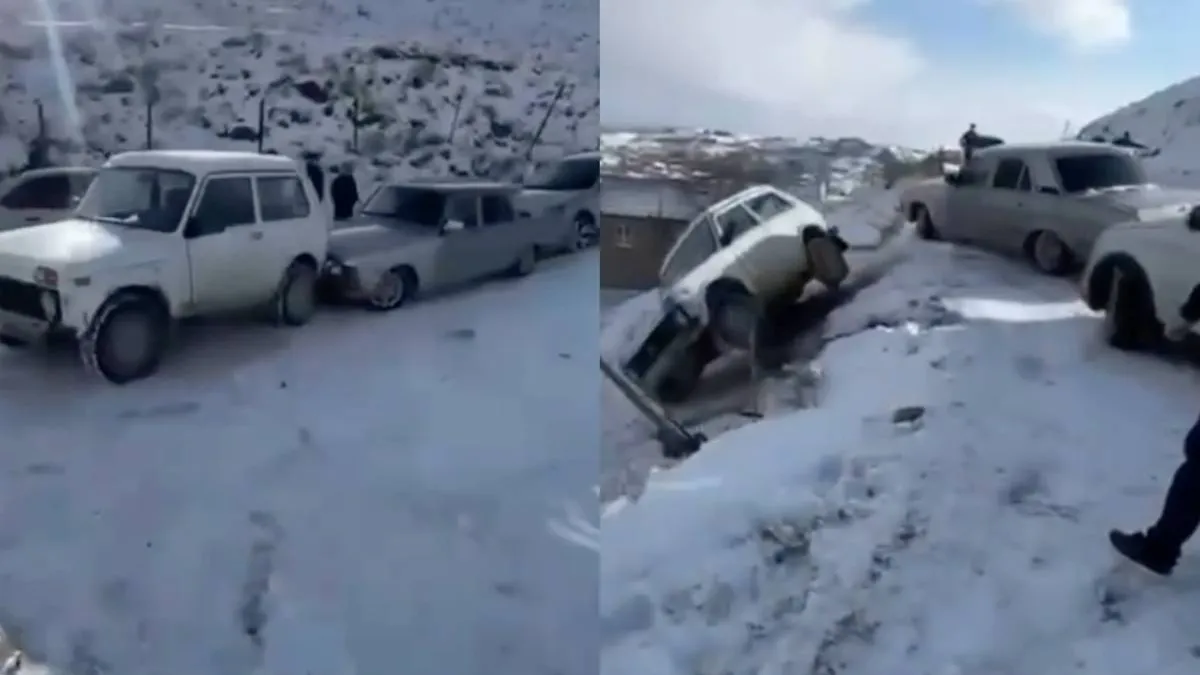 thumb_niva_trein (1)