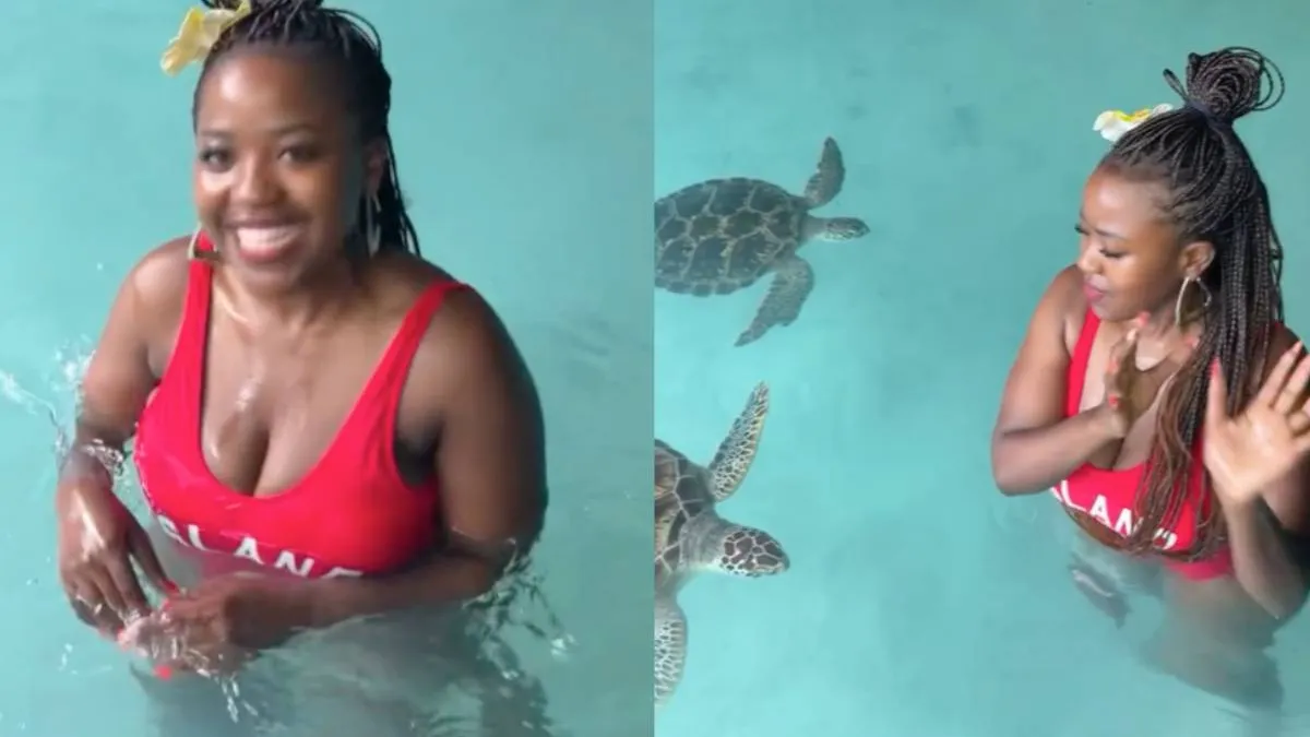 thumb_turtkles_zanzibar